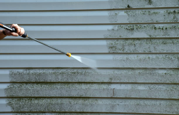 Attic Mold Removal in Valmeyer, IL