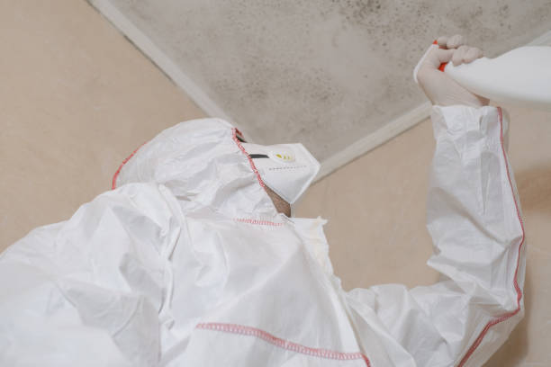 Best Water Damage Restoration  in Valmeyer, IL